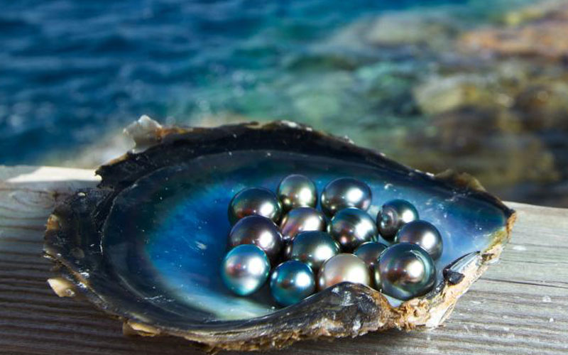 The Rise of Eco-friendly Pearl Farming by Brian Clark Howard
